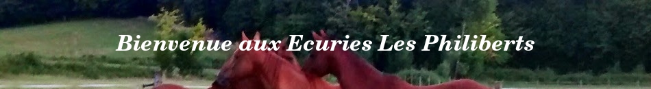 Bienvenue aux Ecuries Les Philiberts